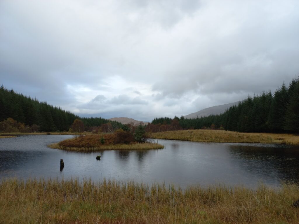 Uitzicht in Highland Titles Nature Reserve.